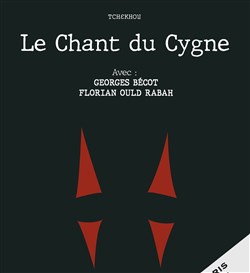 Affiche de Le chant du cygne