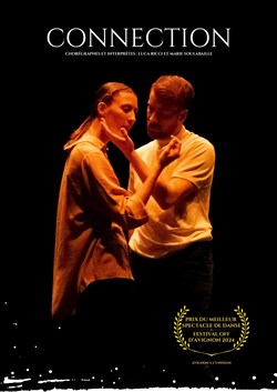 Affiche de Connection