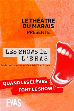 Affiche de Les shows de l'EHAS