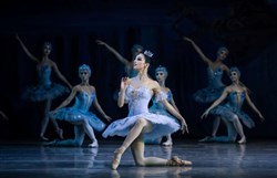 Affiche de La belle au bois dormant