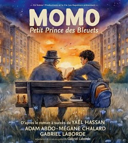 Affiche de Momo, petit prince des bleuets
