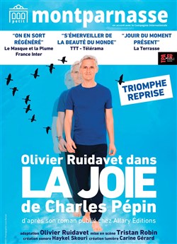 Affiche de La Joie