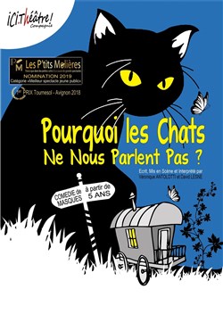 Affiche de Pourquoi les chats ne nous parlent pas ?