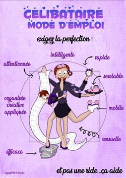 Affiche de Célibataire mode d'emploi