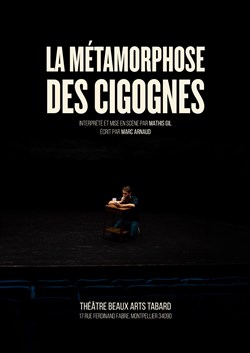 Affiche de La Métamorphose des cigognes