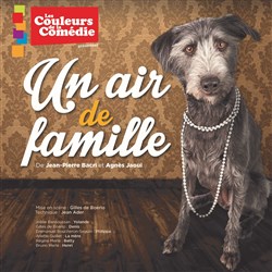 Affiche de Un air de famille