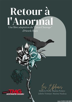 Affiche de Retour à l'anormal