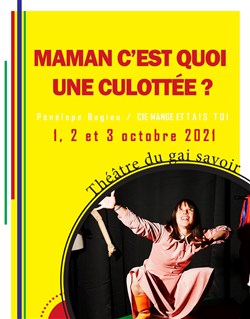 Affiche de Maman c'est quoi une culottée ?