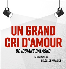 Affiche de Un grand cri d'amour