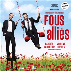 Affiche de Les fous alliés