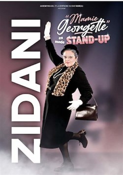 Affiche de Zidani dans Mamie Georgette en mode stand up