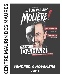 Affiche de Gérald Dahan dans Il était une voix... Molière !