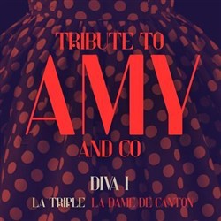 Affiche de Tribute to Amy and Co