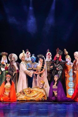 Affiche de Aladdin Circus show