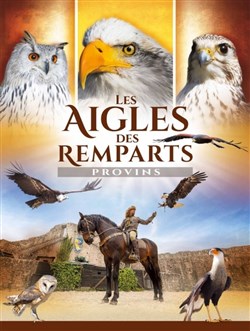 Affiche de Les Aigles des Remparts
