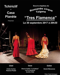 Affiche de Soirée Tres Flamenca