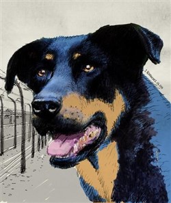 Affiche de Le chien