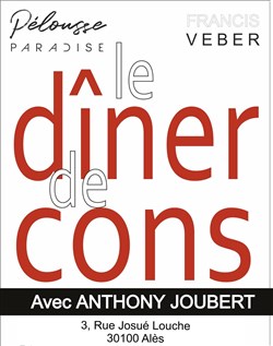 Affiche de Le dîner de cons