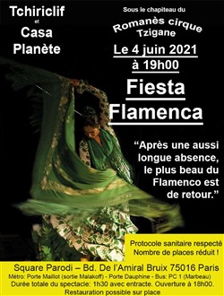 Affiche de Fiesta Flamenca