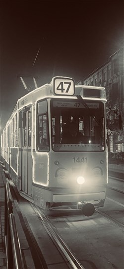 Affiche de Un Tramway Nommé désir