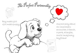 Affiche de The Perfect Partnership / La relation parfaite