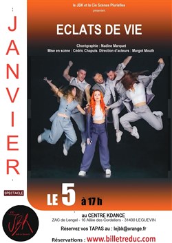 Affiche de Éclats de vie
