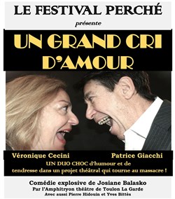 Affiche de Un grand cri d'amour