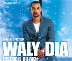 Affiche de Waly Dia dans Ensemble ou rien