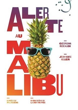 Affiche de Alerte au Malibu !