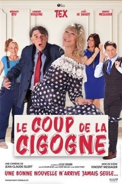 Affiche de Le coup de la cigogne : Une bonne nouvelle n'arrive jamais seule !