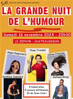 Affiche de La Grande Nuit de l'Humour | Châteaugrion