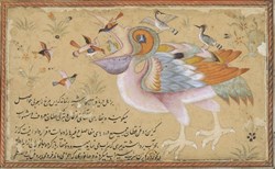 Affiche de La conférence des oiseaux