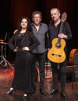 Affiche de Flamenco Vivo... 3 Generaciones !