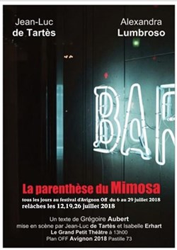 Affiche de La Parenthèse du mimosa