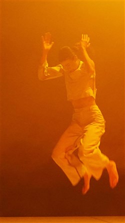 Affiche de Aina Alegre, CCN de Grenoble & Studio fictif : R-A-U-X-A + Ola Maciejewska et Loie Fuller : Research | Billet couplé