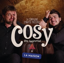 Affiche de Cosy