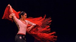 Affiche de Romanès Cirque Tzigane : Spectacle pour la Pâque Tzigane