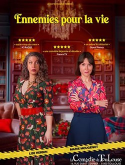 Affiche de Ennemies pour la vie