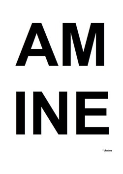 Affiche de Amine Amin Imean