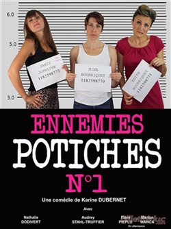 Affiche de Ennemies Potiches N°1