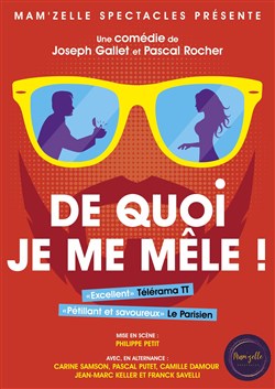 Affiche de De quoi je me mêle