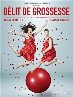 Affiche de Délit de Grossesse