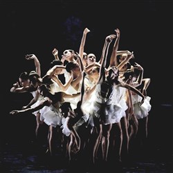 Affiche de Ballet Preljocaj : Le Lac des Cygnes