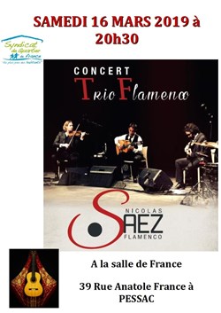 Affiche de Nicolas Saez : Trio Flamenco
