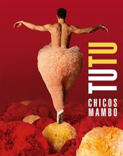 Affiche de Tutu