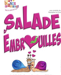 Affiche de Salade d'embrouilles