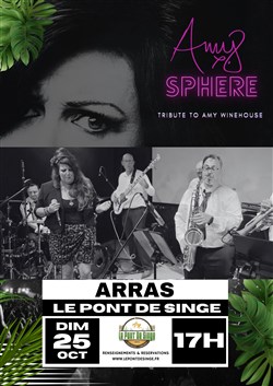 Affiche de Amy'sphere : Hommage à Amy Winehouse