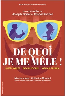 Affiche de De quoi je me mêle !