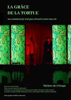Affiche de La grâce de la tortue