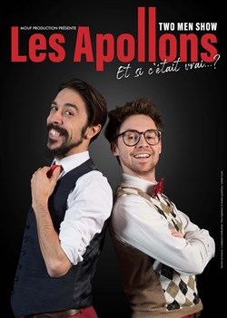 Affiche de Et si c'était vrai ?